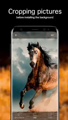 Horse Wallpapers 4K android App screenshot 2