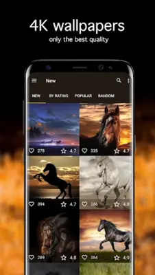 Horse Wallpapers 4K android App screenshot 4