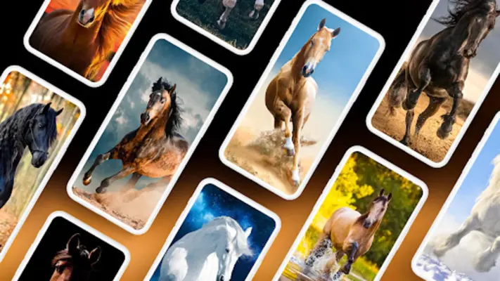 Horse Wallpapers 4K android App screenshot 5